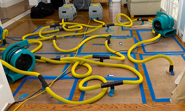 Professional Water Extraction technician working in San Pedro, CA